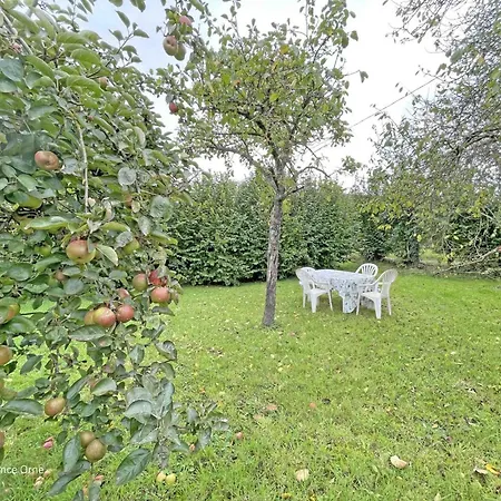 Ferienhaus Lumineux Avec Jardin, Animaux Acceptes, Wifi - Fr-1-497-225