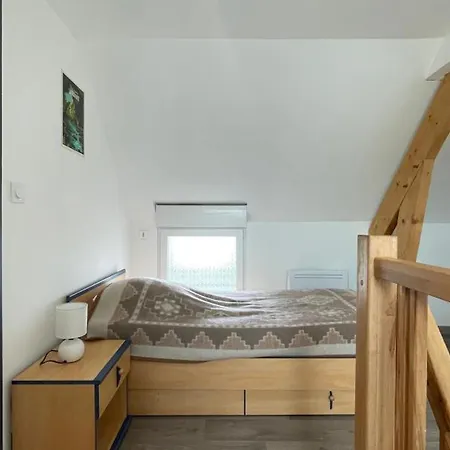Lumineux Avec Jardin, Animaux Acceptes, Wifi - Fr-1-497-225 Landhaus