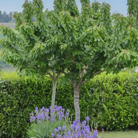Lumineux Avec Jardin, Animaux Acceptes, Wifi - Fr-1-497-225 * Saint-Pierre-du-Regard