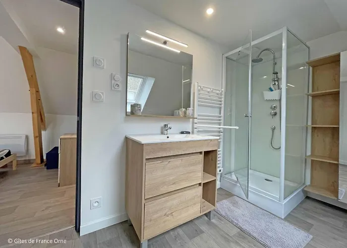 Ferienhaus Lumineux Avec Jardin, Animaux Acceptes, Wifi - Fr-1-497-225 *