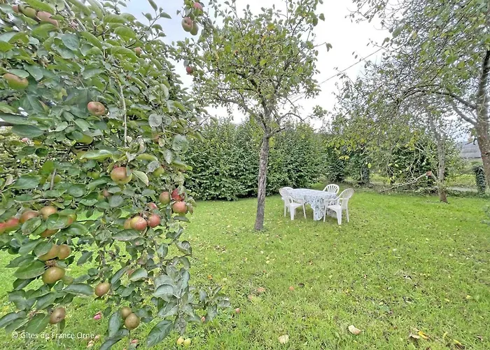 Ferienhaus Lumineux Avec Jardin, Animaux Acceptes, Wifi - Fr-1-497-225